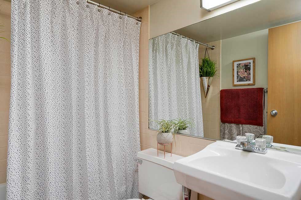 a bathroom with a sink and a shower and a mirror
