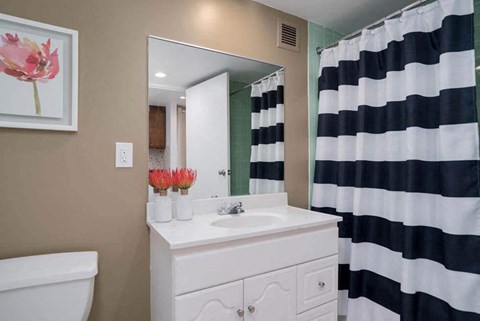 a bathroom with a white sink and a black and white shower curtain
