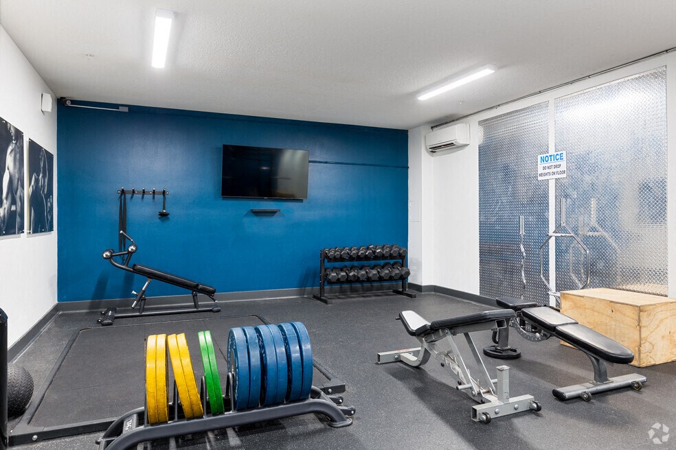 a gym with weights and a tv on the wall