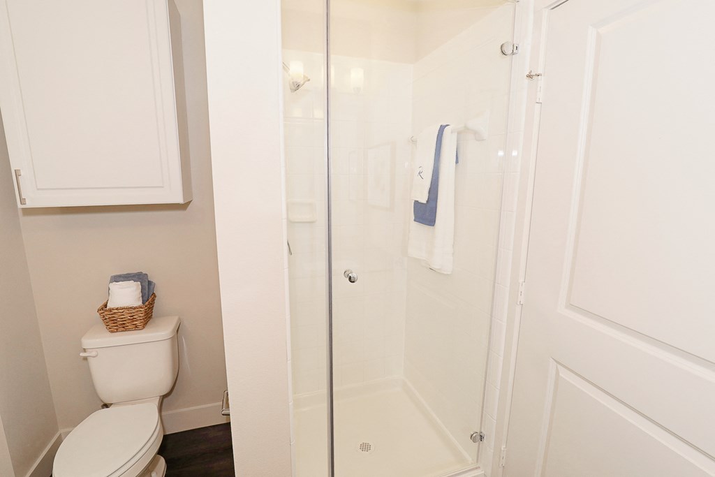 a small bathroom with a shower and a toilet