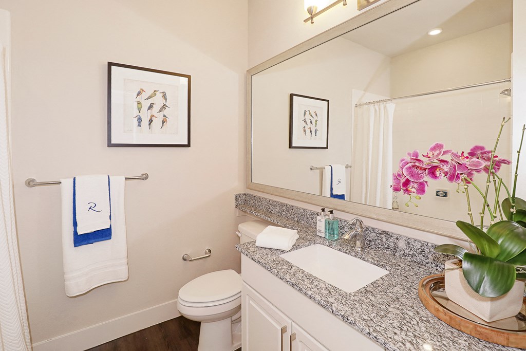 a bathroom with a sink and a toilet and a mirror