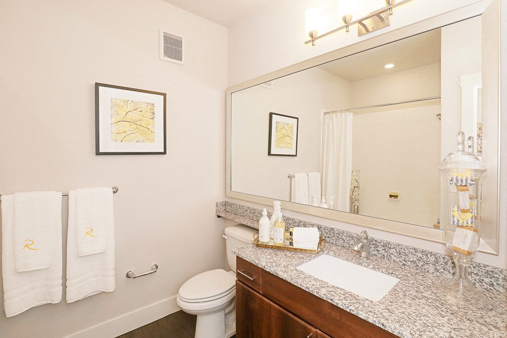 a bathroom with a mirror and a toilet and a sink