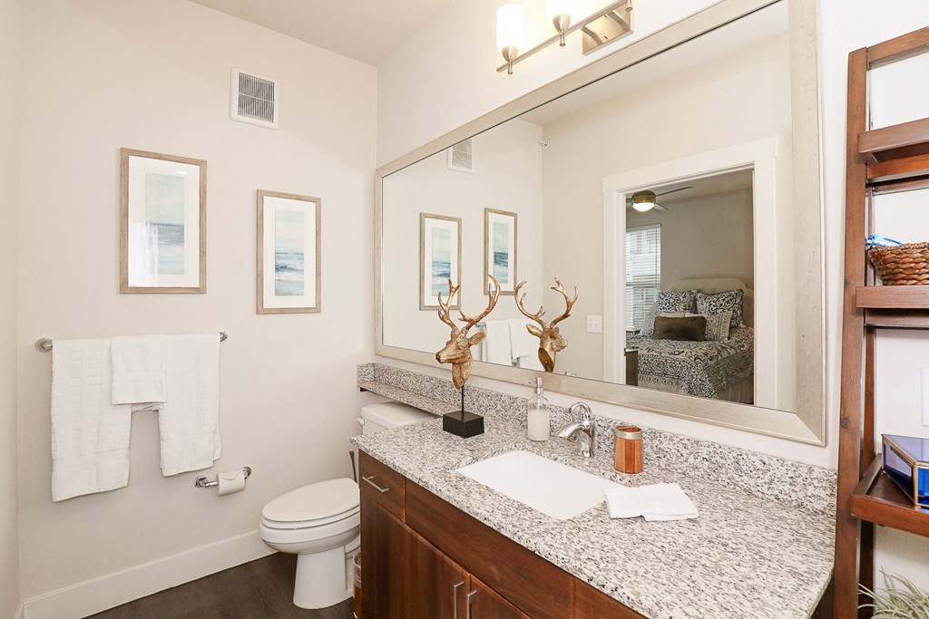 a bathroom with a sink and a mirror and a toilet
