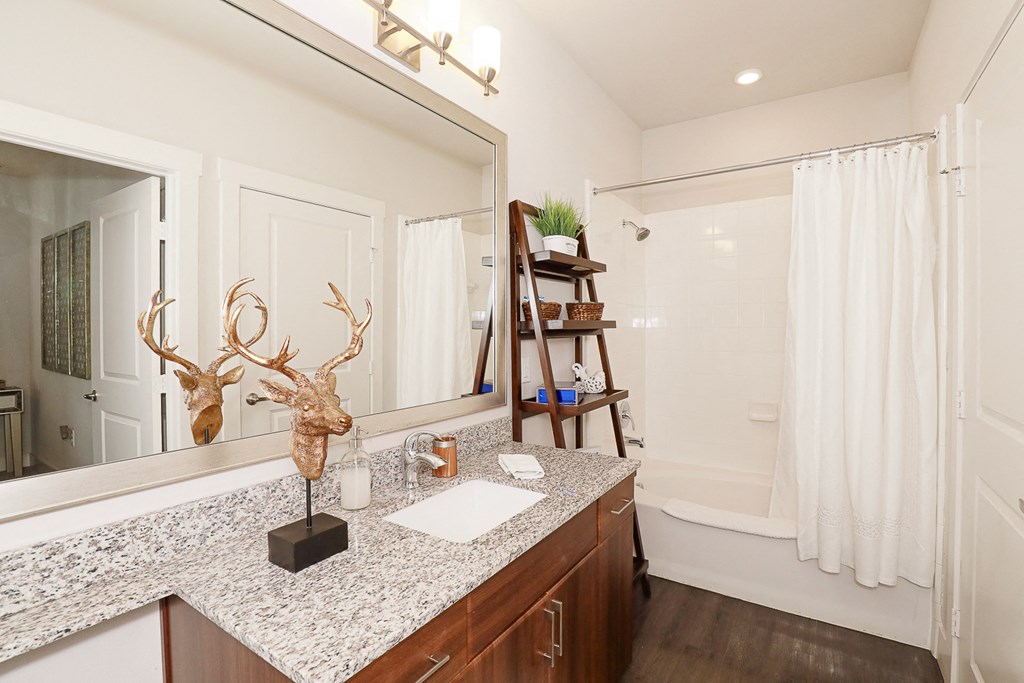 a bathroom with a large mirror and a sink and a shower