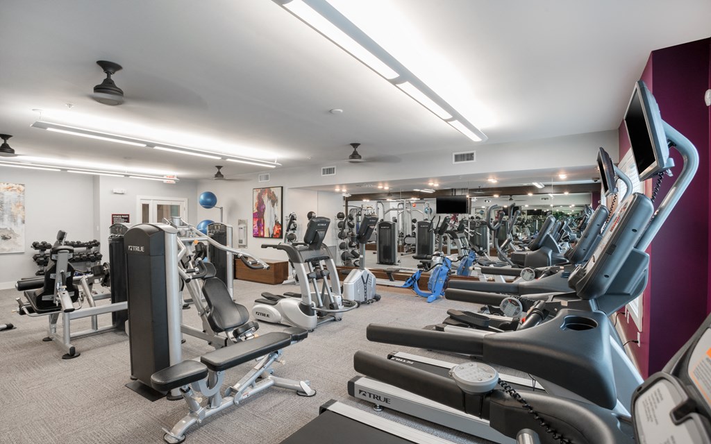 Fitness Center at Palms at Magnolia Park in Riverview, FL