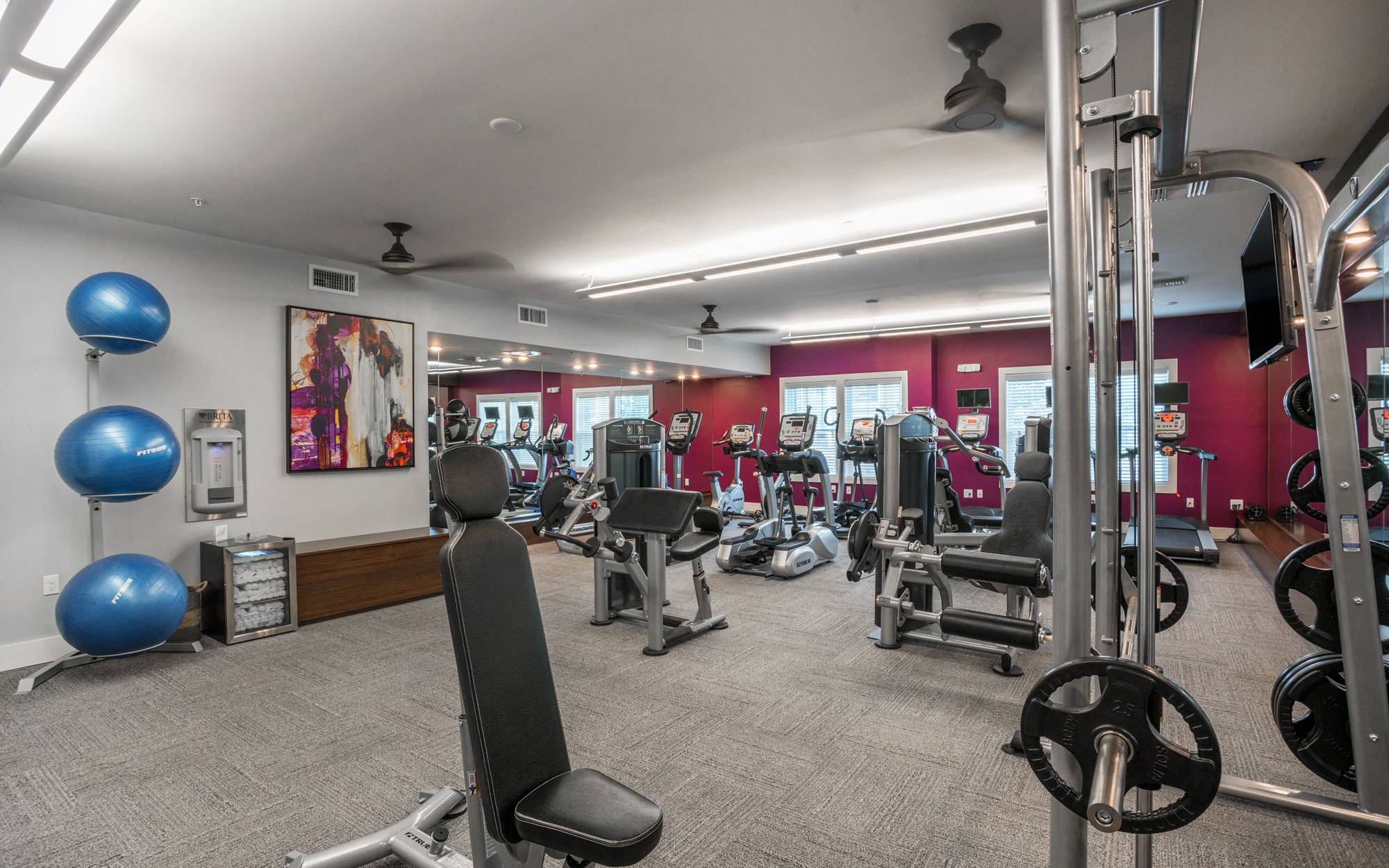 Fitness Center at Palms at Magnolia Park in Riverview, FL