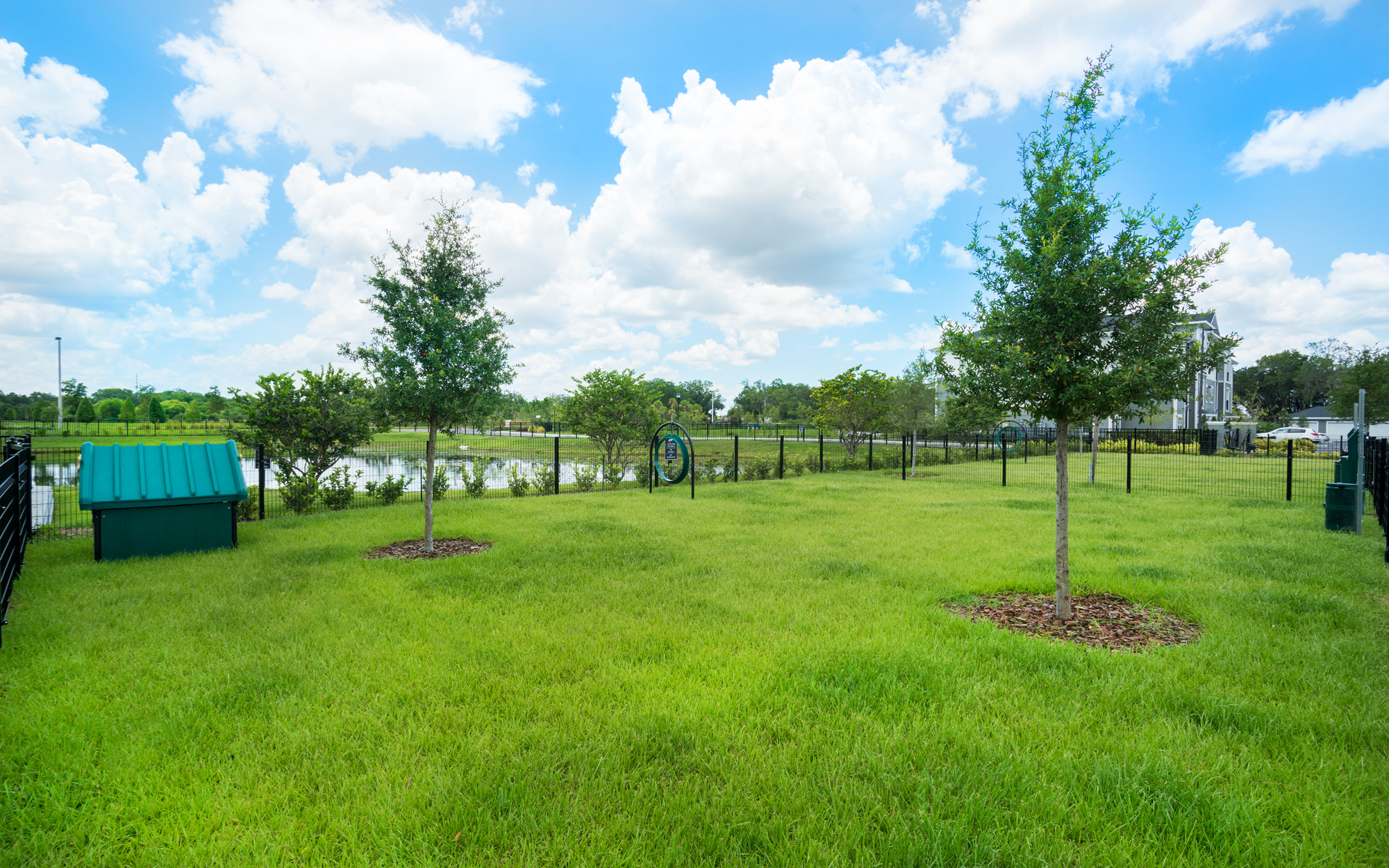 Dog Park at Palms at Magnolia Park in Riverview, FL