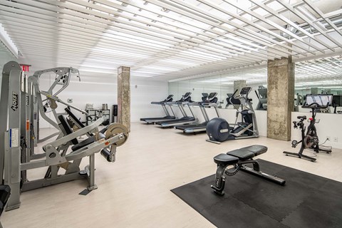 A gym with a variety of equipment including treadmills, stationary bikes, and weight machines.