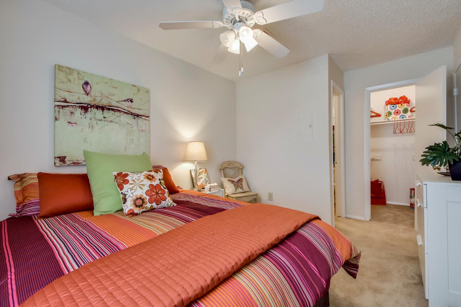 Best Cheap Apartments in Austin, TX: from $752 | RENTCafé