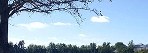 Arbours At Silver Lake Apartments In Leesburg Fl