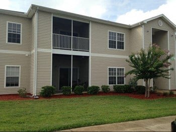 8508 Arbour Lake Drive 1-3 Beds Apartment for Rent - Photo Gallery 6