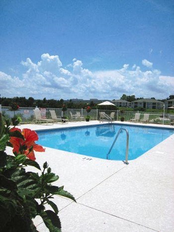 8508 Arbour Lake Drive 1-3 Beds Apartment for Rent - Photo Gallery 2