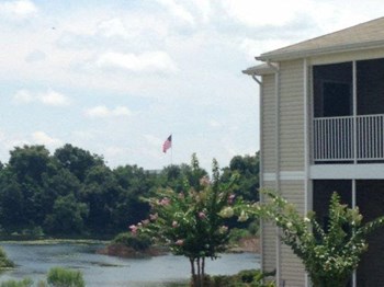 8508 Arbour Lake Drive 1-3 Beds Apartment for Rent - Photo Gallery 3
