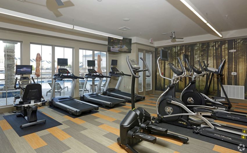 1236 Arbour Point Way 1-3 Beds Apartment for Rent - Photo Gallery