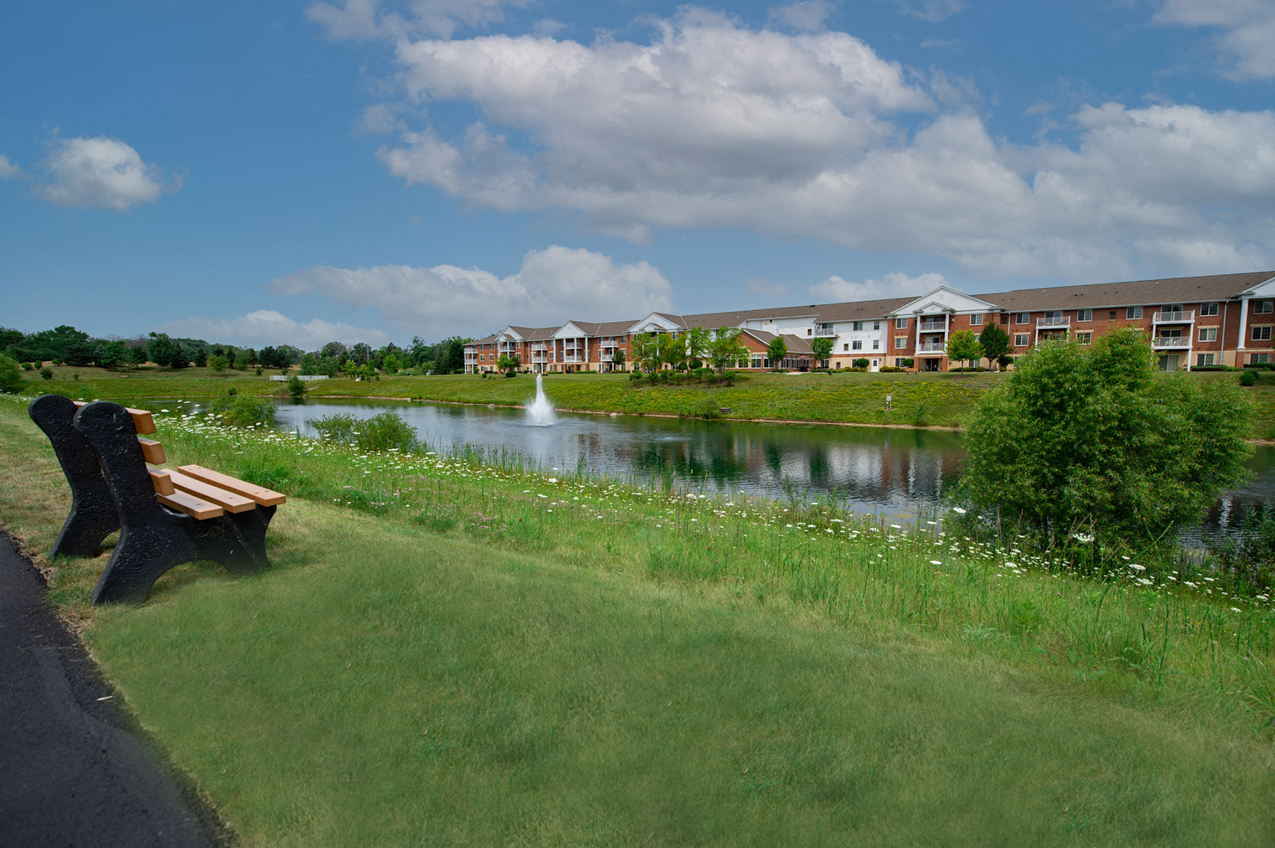 a park bench overlooking a pond with a building in the background