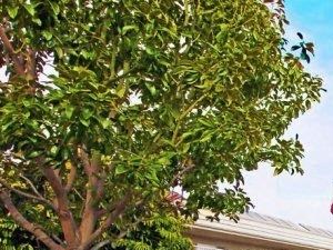 Beautiful Landscaping landscaping - Photo Gallery 2