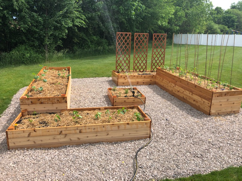 Westminster Resident Garden