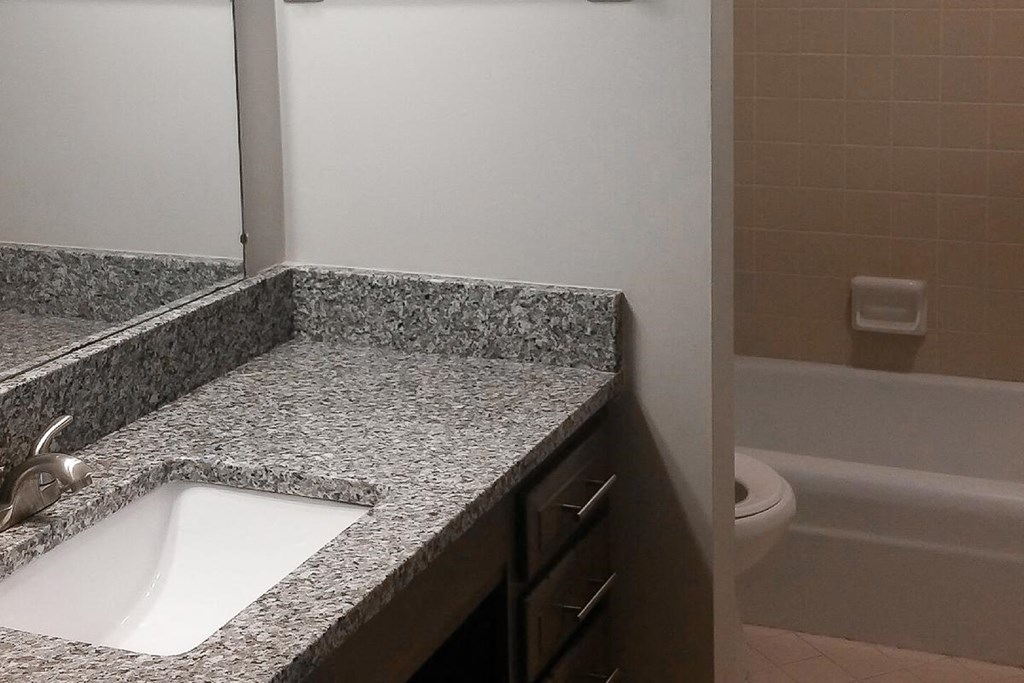 a bathroom with a sink and a toilet