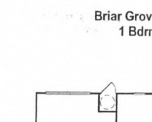 Briar Grove