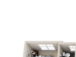 D