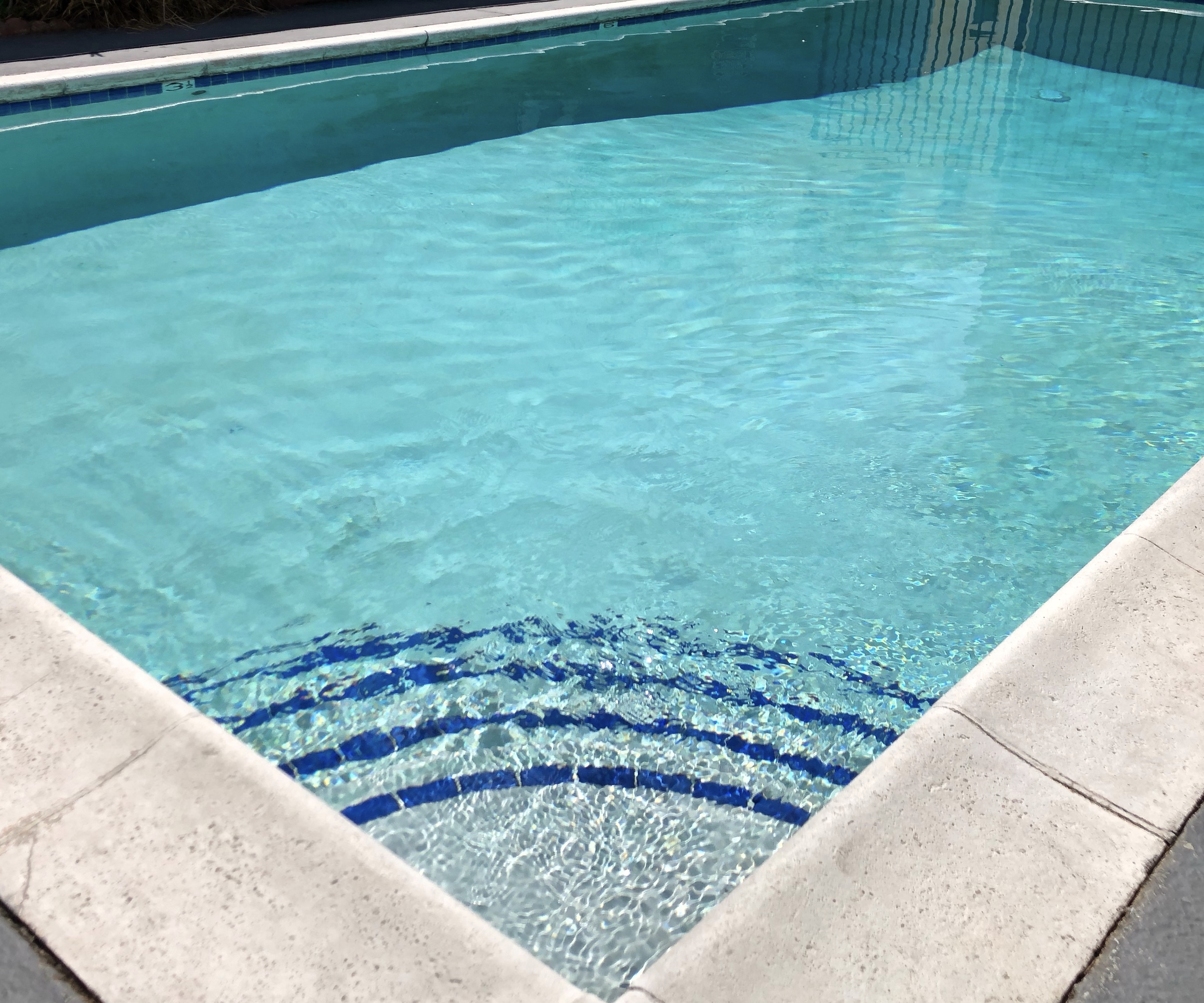 425 S Alexandria Pool