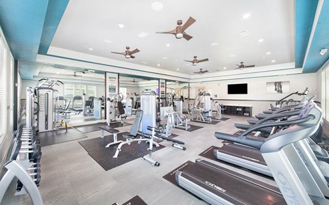 a gym with treadmills and other cardio equipment and a television