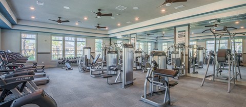 the gym is equipped with a variety of exercise equipment