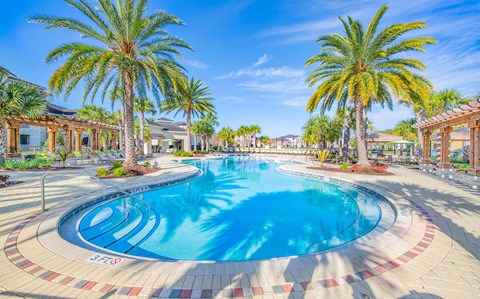 a large swimming pool with palm trees