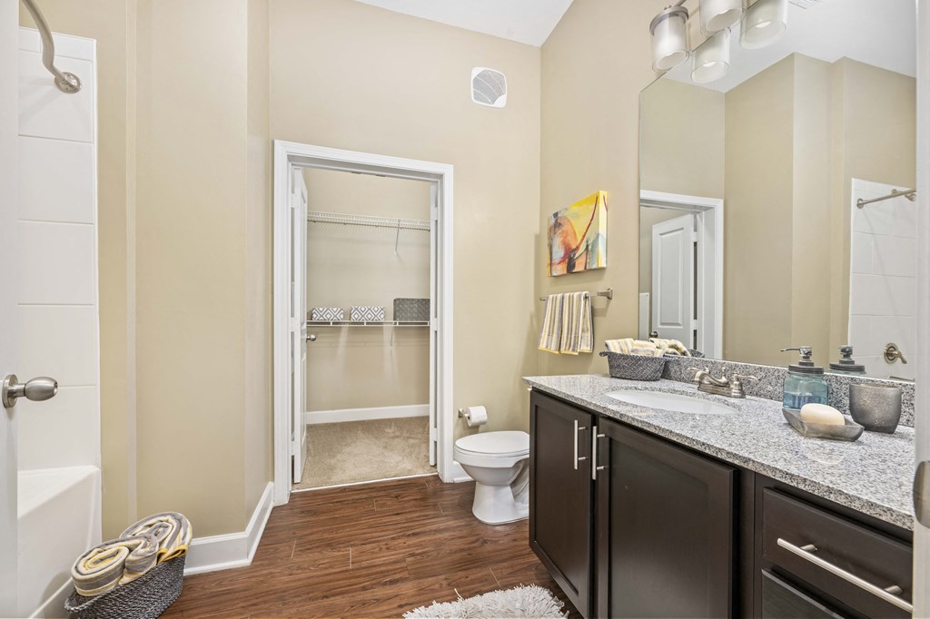 a bathroom with a sink and a toilet and a shower