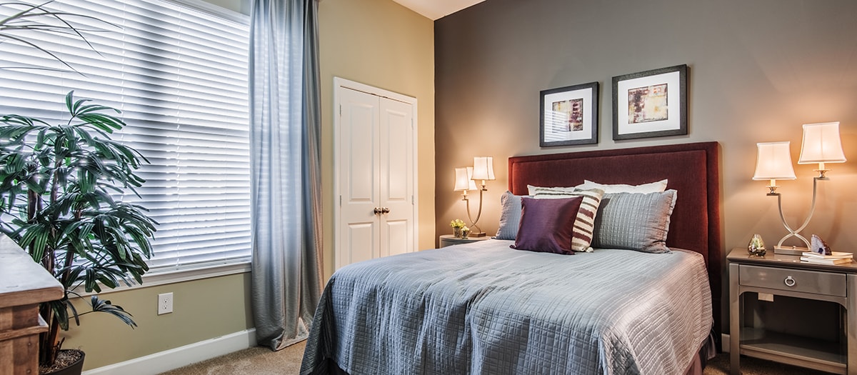 a bedroom with a bed and a window and a plant