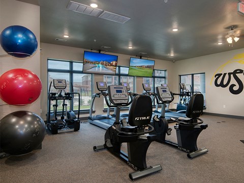 state of the art gym equipment at our apartments
