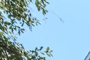 Riversong Apartment Homes | Apartments in Bradenton, FL