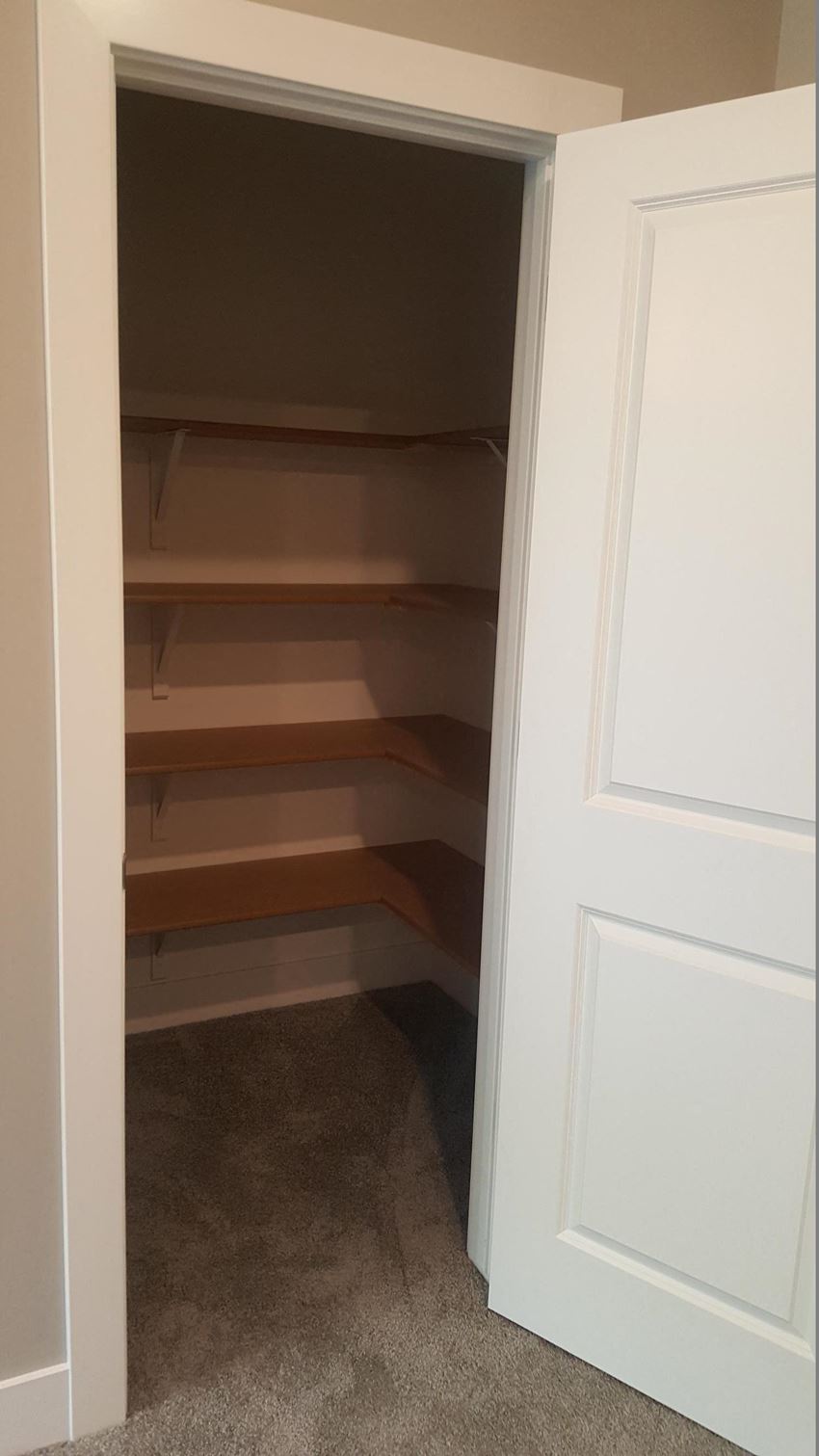 the empty shelves in the closet of a closet