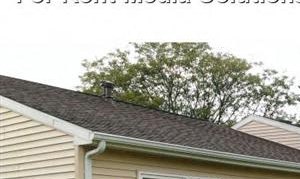 315 E. Edgewood Blvd. Studio-2 Beds Apartment for Rent - Photo Gallery 3