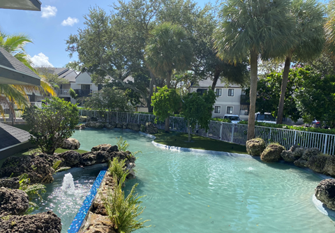 a lazy river with palm trees and houses in the background
