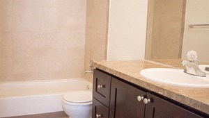 a bathroom with a sink toilet and a bath tub