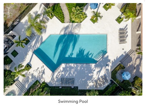 a pool with a shadow of palm trees