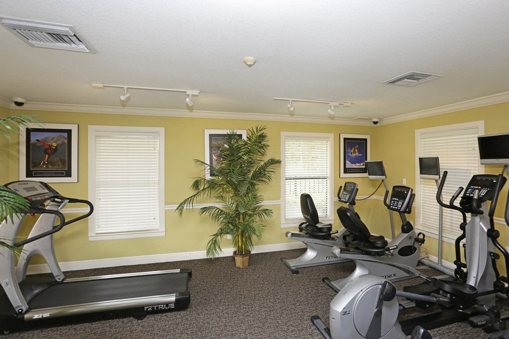 our gym is equipped with a variety of exercise equipment
