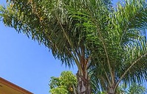 Apartments in San Pedro, CA Marine View Apartments