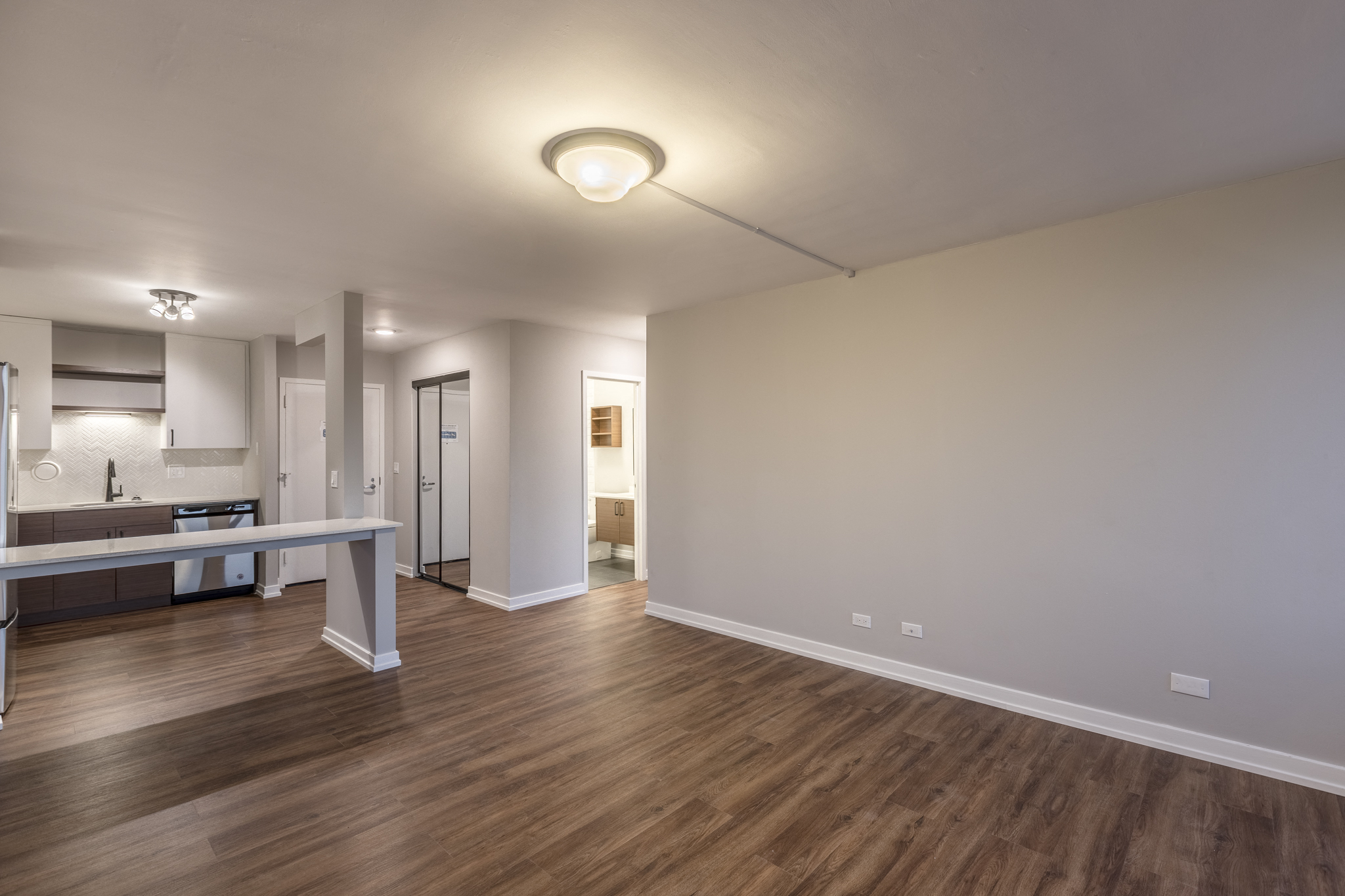 Park Michigan Renovated Unit - Living and Kitchen