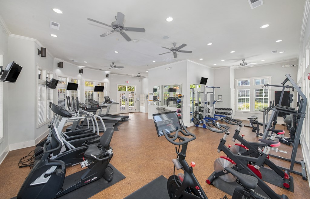 the gym at 1861 muleshoe road has a variety of exercise equipment