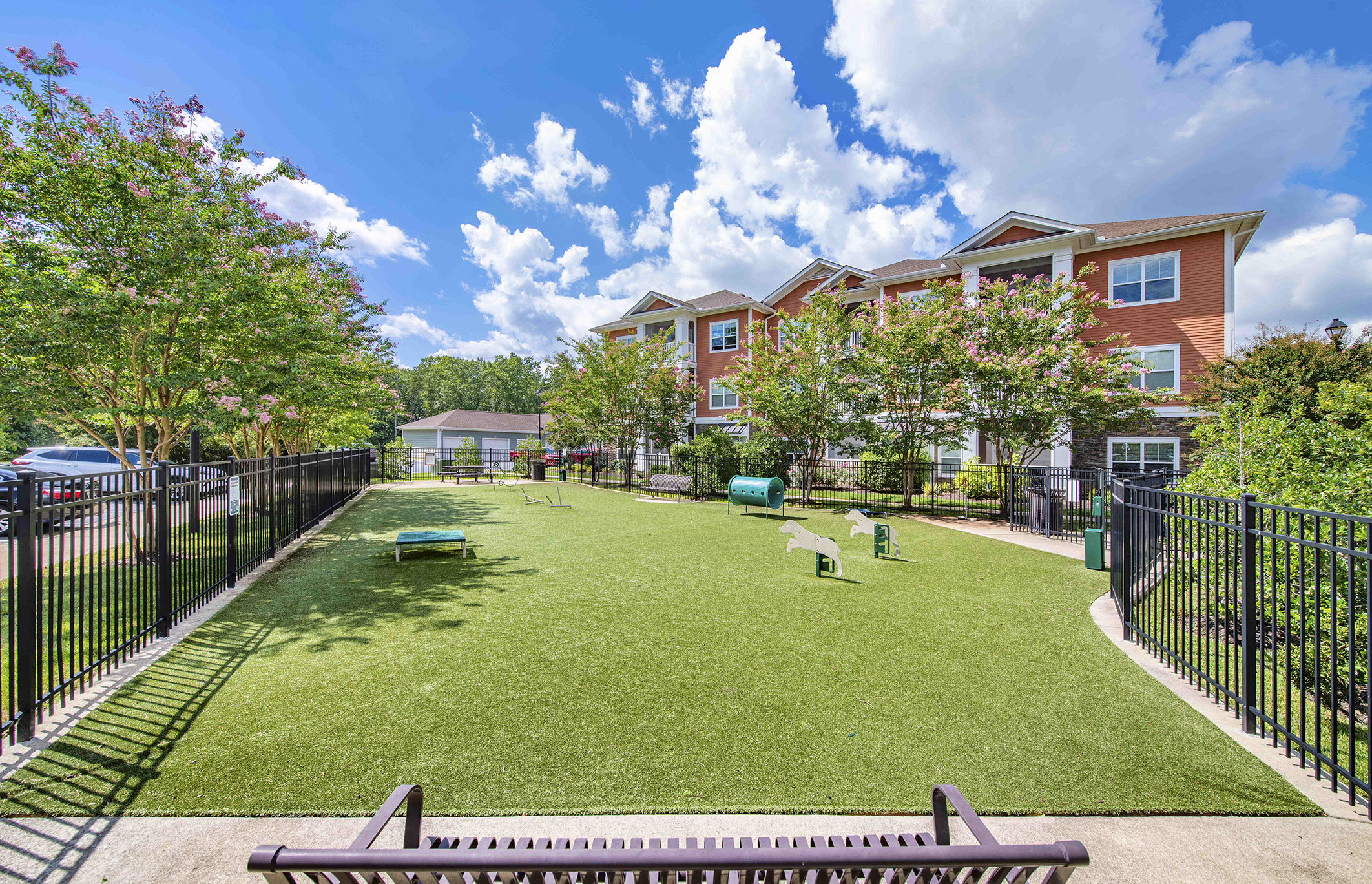 a yard with a dog park and a black fence
