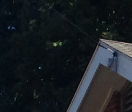 Washington Garden Apartments In Grenada Ms