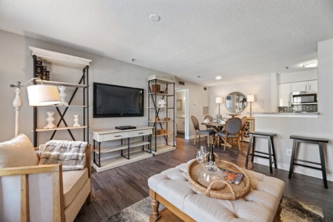 a living room with a couch and a tv