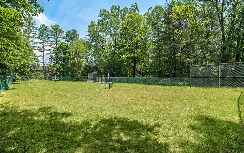a baseball field with a fence and trees
