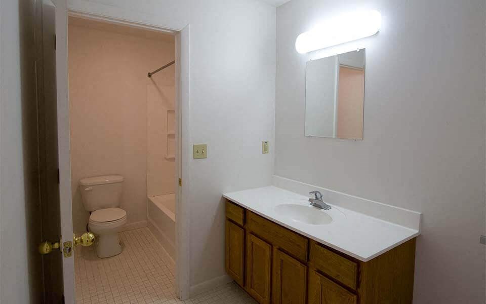 a bathroom with a sink and a toilet and a mirror