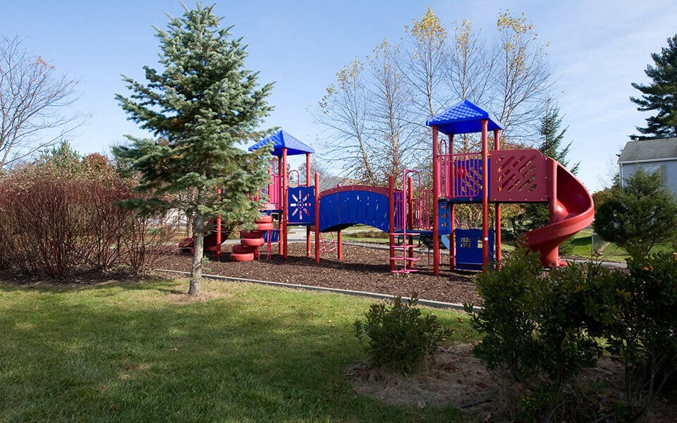 a playground with a blue and red swing set