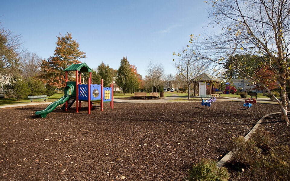 a park with a childrens playground