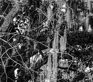 Hunter Aaf Homes Rental Homes And Apartments In Savannah Ga