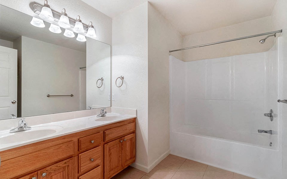a bathroom with a sink and a shower and a mirror